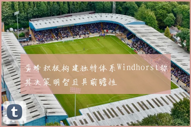 黄蜂积极构建独特体系Windhorst称其决策明智且具前瞻性
